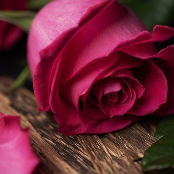Rose and Oud 1 фото