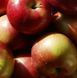 Macintosh Apple1 фото 2