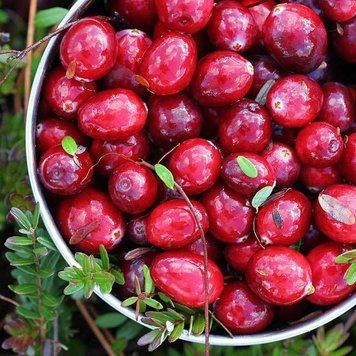 Cranberry Woods 10гр Cranberry Woods10 фото