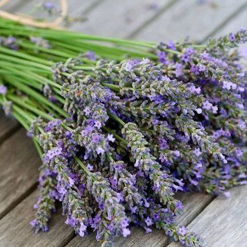 Lavender 10гр Lavender10 фото