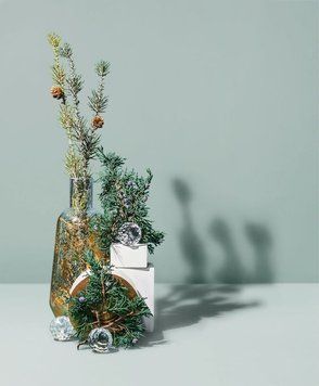 Juniper fir & balsam spruce10 фото