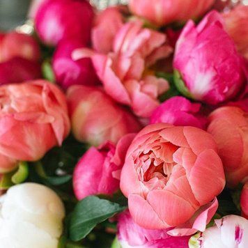 Magnolia and Peony 10г 0000001 фото