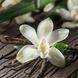 Vanilla Orchid 30г Vanilla Orchid30 фото 1