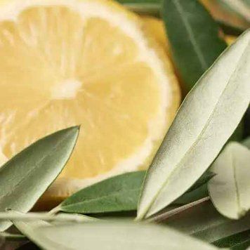 Olive Leaf and Citron 1oz в оригінальній плашці Olive Leaf and Citron1 фото