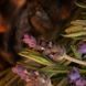 Lavender Embers10 фото 1
