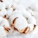 Clean Cotton 200г 0Clean Cotton958 фото 2