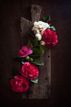 VELVET PEONY & OUD10 фото