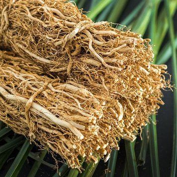 Vetiver 1oz в оригінальній плашці Vetiver1 фото