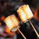 Campfire Marshmallow 10гр Campfire Marshmallow10 фото 1