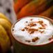 Pumpkin Chai 10гр Pumpkin Chai10 фото 1