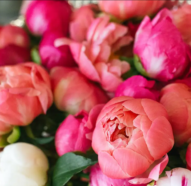 Magnolia and Peony 10г 0000001 фото