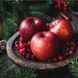 EvergreenandApple1 фото 1