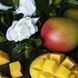 Mango and Gardenia 10гр Mango and Gardenia10 фото 1