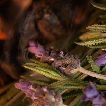Lavender Embers 10гр Lavender Embers10 фото