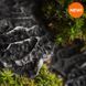 Black Coral and Moss1 фото 1