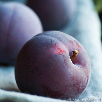 Cashmere Plum 10г 0000022 фото