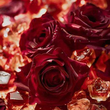 Tudor Rose & Amber10 фото