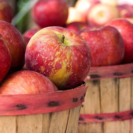 Apple Harvest 30г 0008329 фото