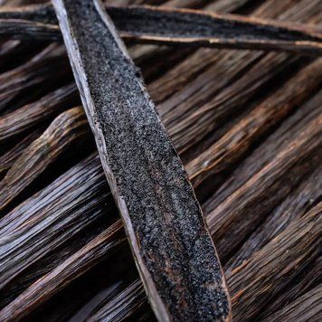 Vanilla Element10 фото