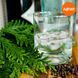 Dry Gin and Cypress10 фото 2