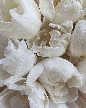 White Musk10 фото